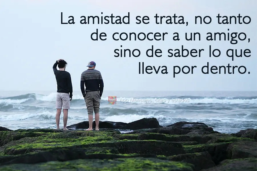 La amistad se trata, no tanto de conocer a un amigo, sino de saber lo que lleva por dentro.