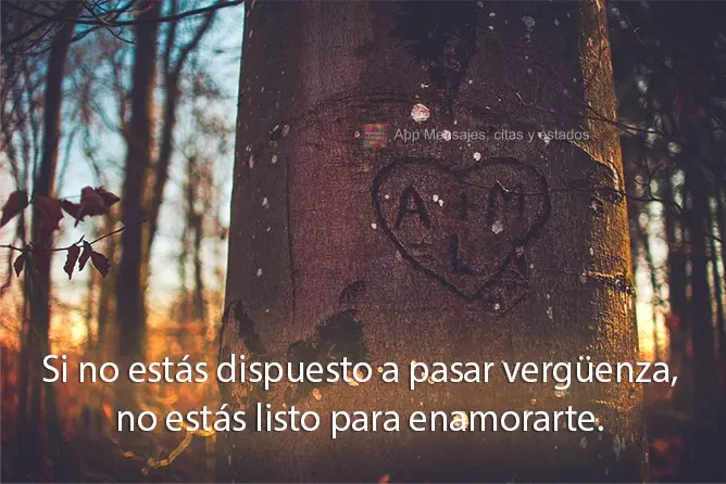 Se você não está disposto a parecer um idiota, não merece se apaixonar.