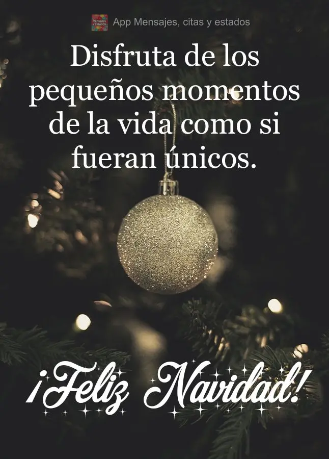 Disfruta de los pequeños momentos de la vida como si fueran únicos. ¡Feliz Navidad!