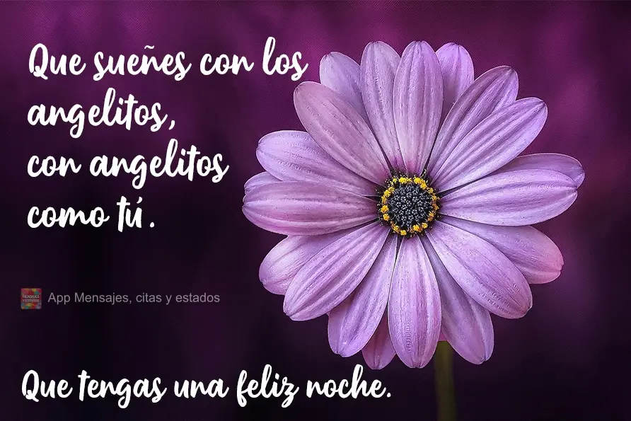 Que sueñes con los angelitos, con angelitos como tú. Que tengas una feliz noche