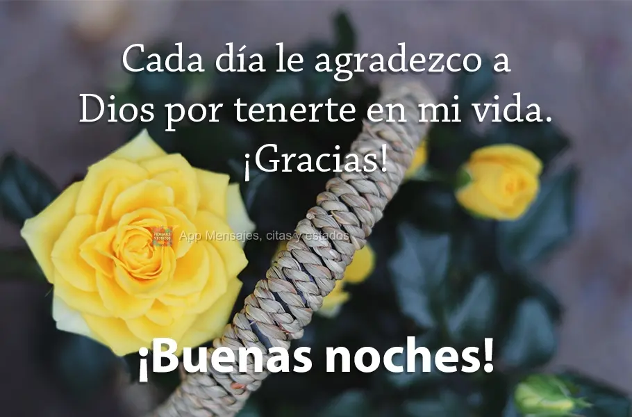 Cada día le agradezco a Dios por tenerte en mi vida. ¡Gracias! ¡Buenas noches!