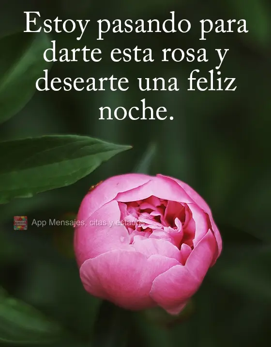Estoy pasando para darte esta rosa y desearte una feliz noche.