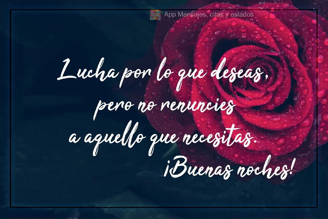 Lucha por lo que deseas, pero no renuncies a aquello que necesitas. ¡Buenas noches!