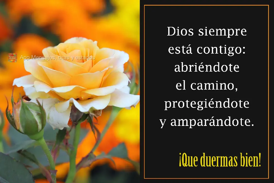 Dios siempre está contigo: abriéndote el camino, protegiéndote y amparándote. ¡Que duermas bien!