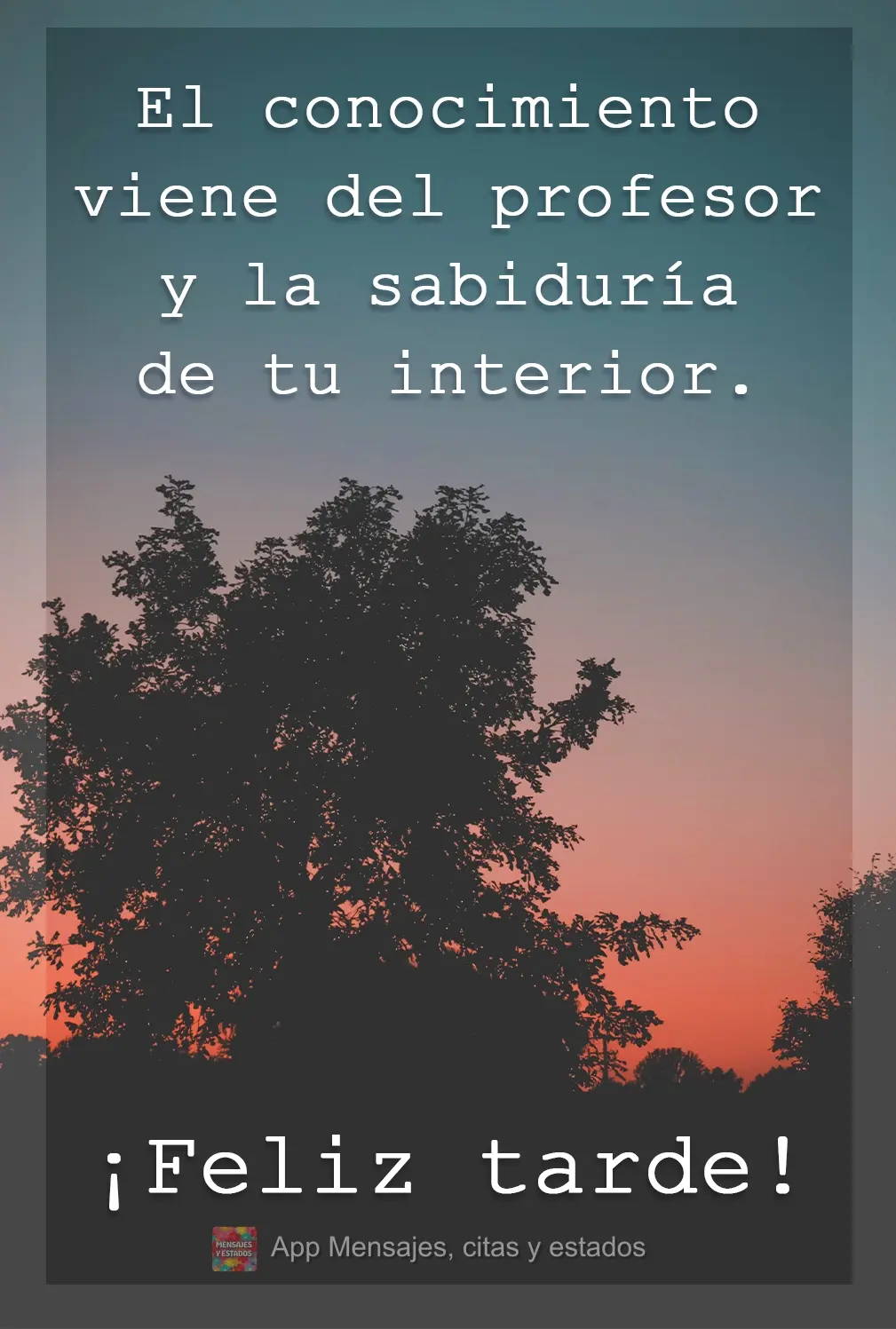 Conhecimento vem do professor. Sabedoria, do seu interior! Boa Tarde!