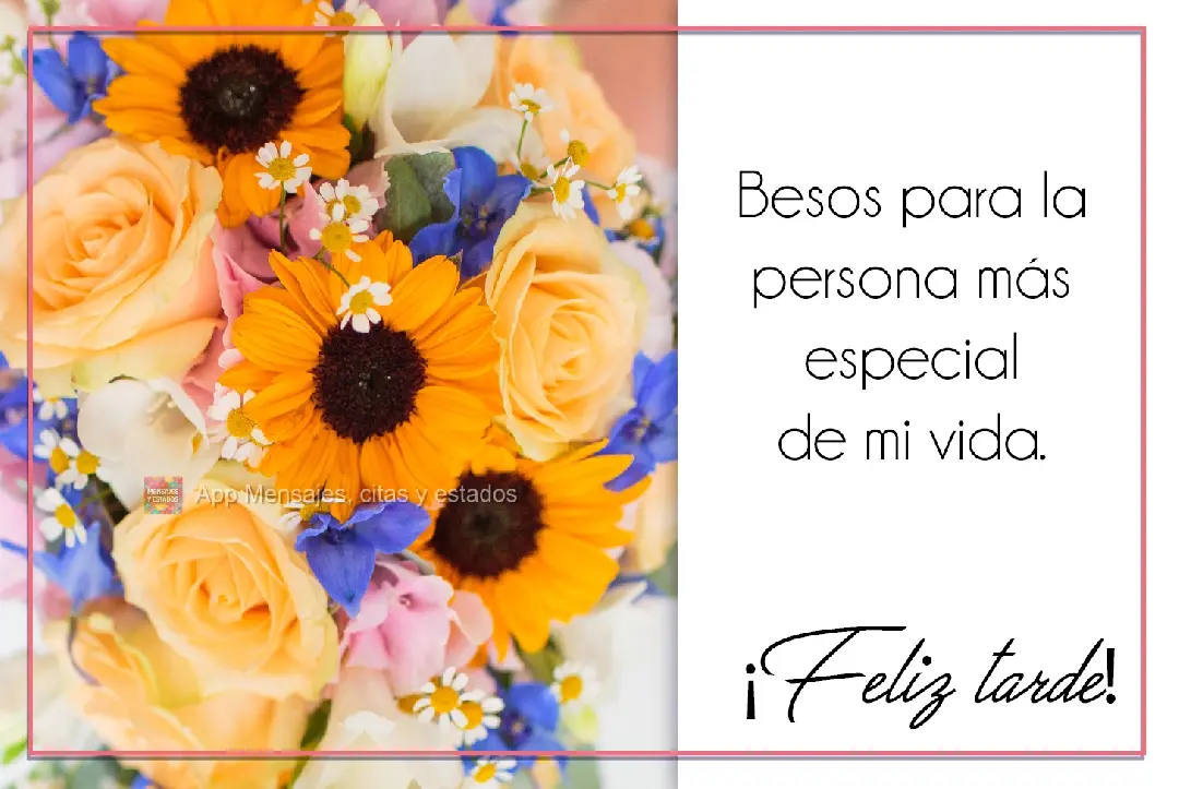 Beijos para a pessoa mais especial.   Boa Tarde!