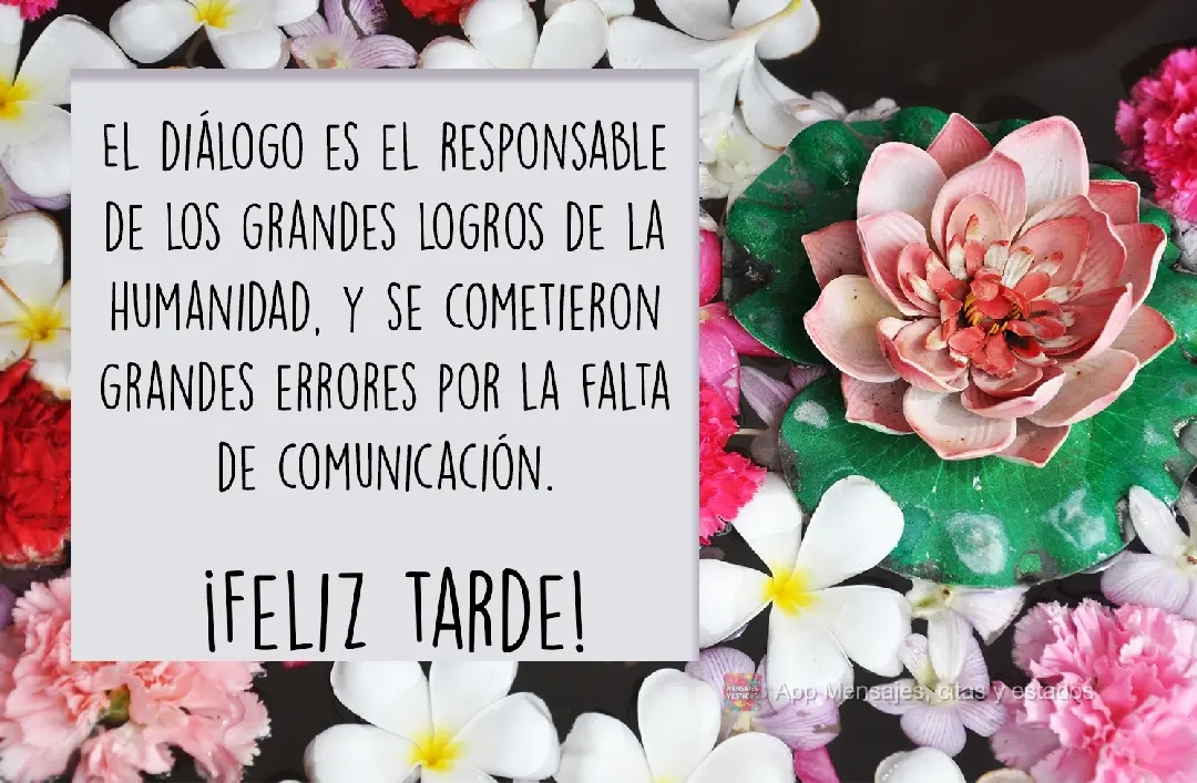 As grandes conquistas da humanidade foram obtidas conversando, e as grandes falhas pela falta de diálogo. Boa Tarde!