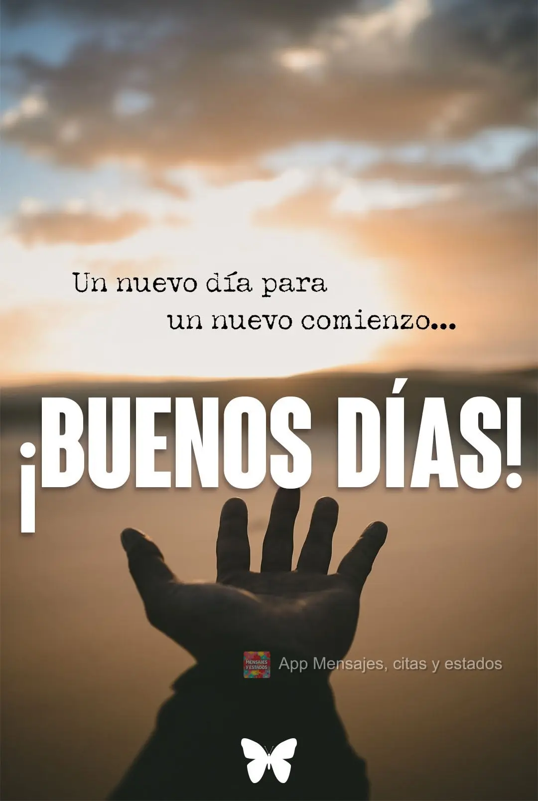 Un nuevo día para un nuevo comienzo. ¡Buenos días!