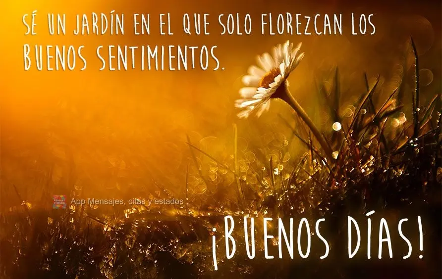 Seja um jardim no qual apenas bons sentimentos florescem. Bom dia!