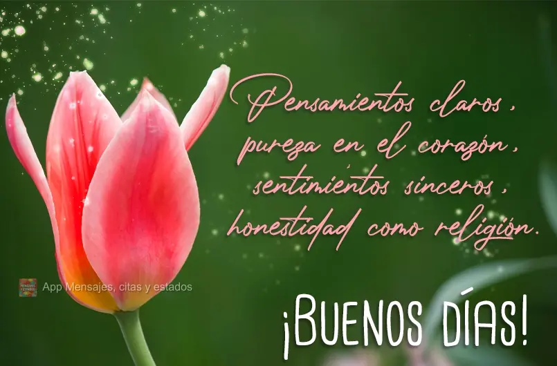 Clareza na ideia, pureza no coração, sentimento como guia, honestidade como religião. Bom dia!