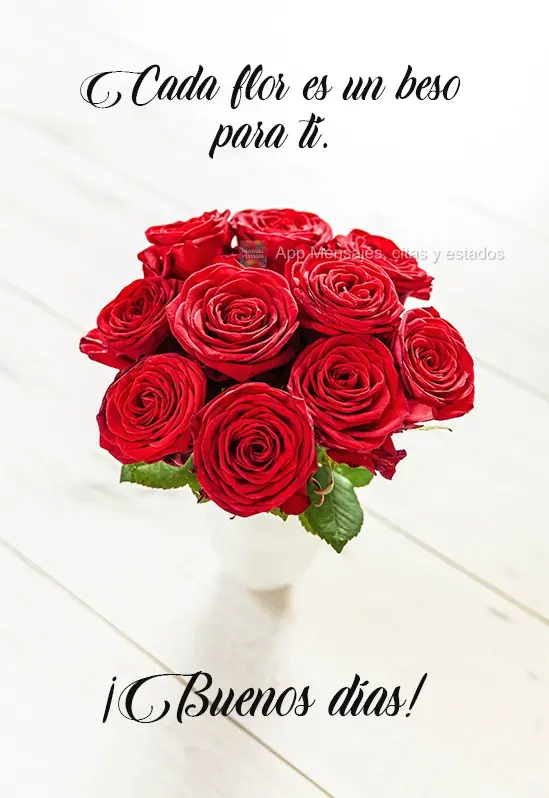 Em cada flor um beijo meu para você. Bom dia!