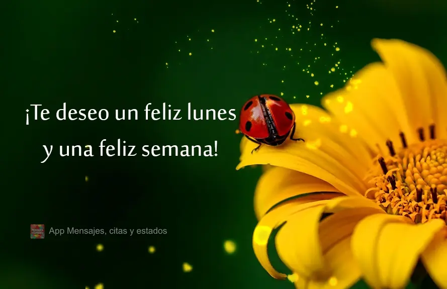 ¡Te deseo un feliz lunes y una feliz semana!