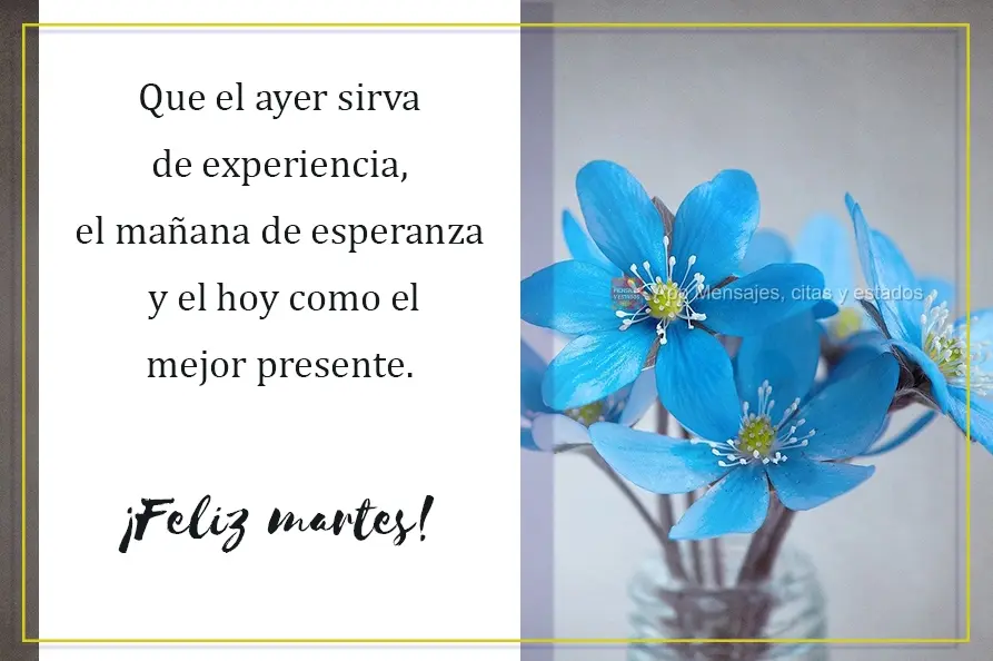 Que el ayer sirva de experiencia, el mañana de esperanza y el hoy como el mejor presente. ¡Feliz martes!