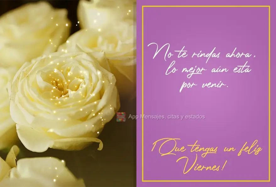 Não desista agora, o melhor ainda está por vir!  Ótima Sexta-feira para você!