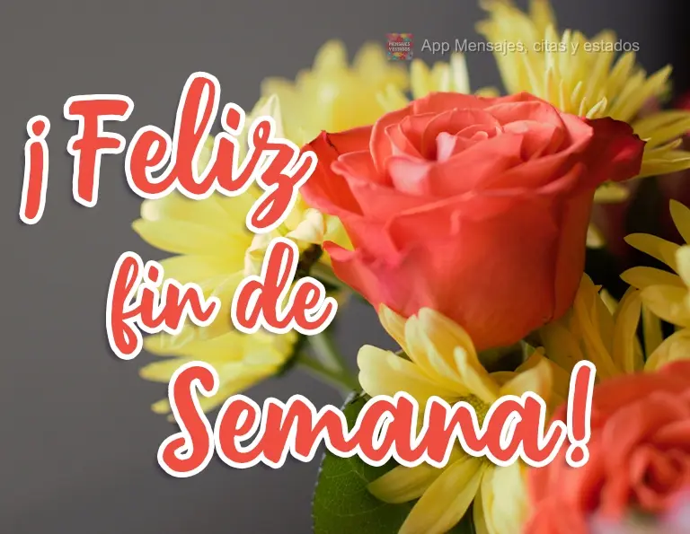 Bom Final de semana!