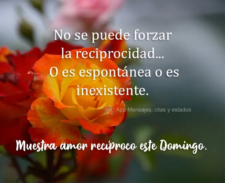 No se puede forzar la reciprocidad... O es espontánea o es inexistente. Muestra amor recíproco este domingo.
