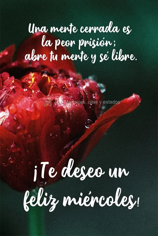 A pior prisão é a mente fechada. Abra a sua mente e liberte-se. Ótima  Quarta-feira para você!