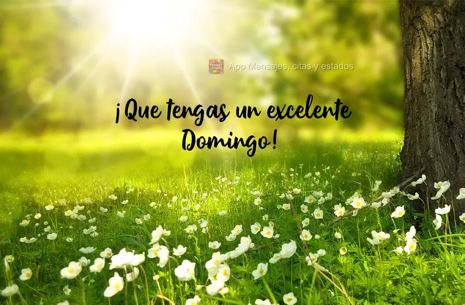 Tenha um excelente Domingo!