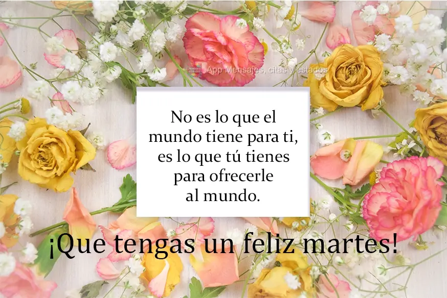 Não é o que o mundo tem para você, é o que você traz ao mundo.  Tenha uma boa Terça-feira!