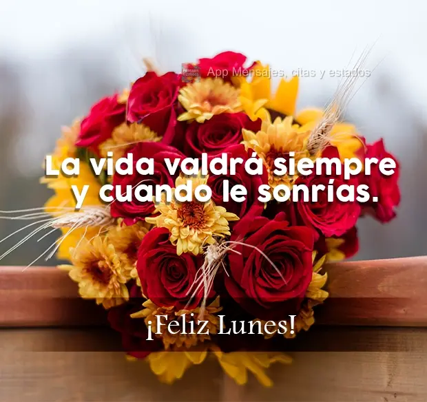 La vida valdrá siempre y cuando le sonrías.  ¡Feliz lunes!