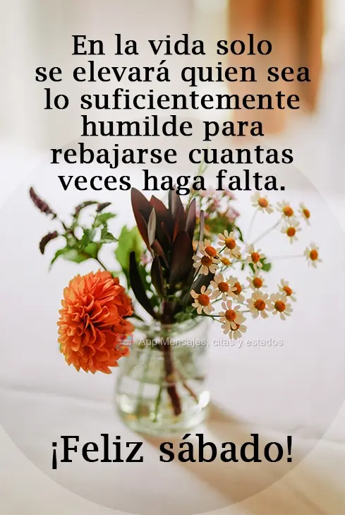 En la vida solo se elevará quien sea lo suficientemente humilde para rebajarse cuantas veces haga falta. ¡Feliz sábado!
