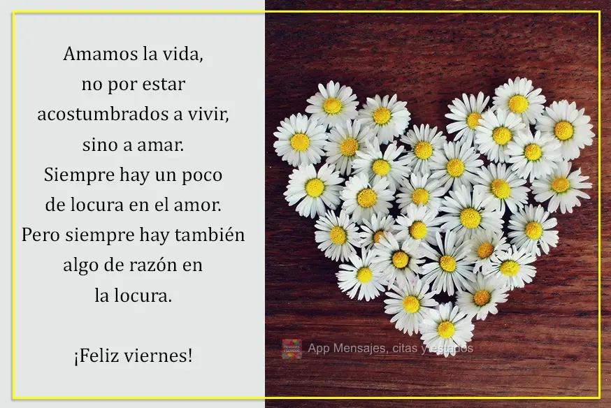 Amamos a vida não porque estamos acostumados à vida, mas a amar. Há sempre alguma loucura no amor, mas também há alguma razão na loucura. Ótima Se...