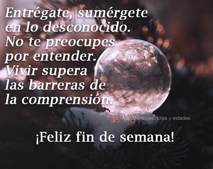 Entrégate, sumérgete en lo desconocido. No te preocupes por entender. Vivir supera las barreras de la comprensión. ¡Feliz fin de semana!