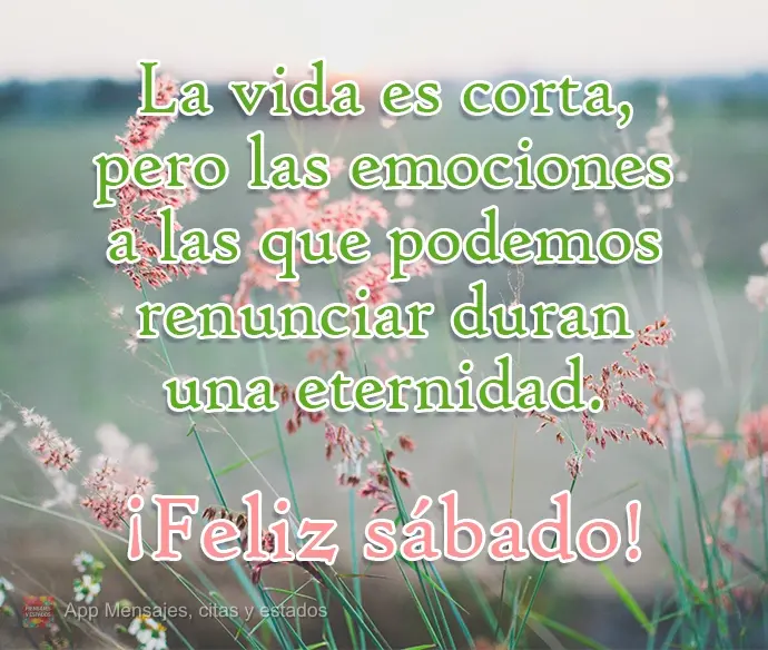 La vida es corta, pero las emociones a las que podemos renunciar duran una eternidad.  ¡Feliz sábado!