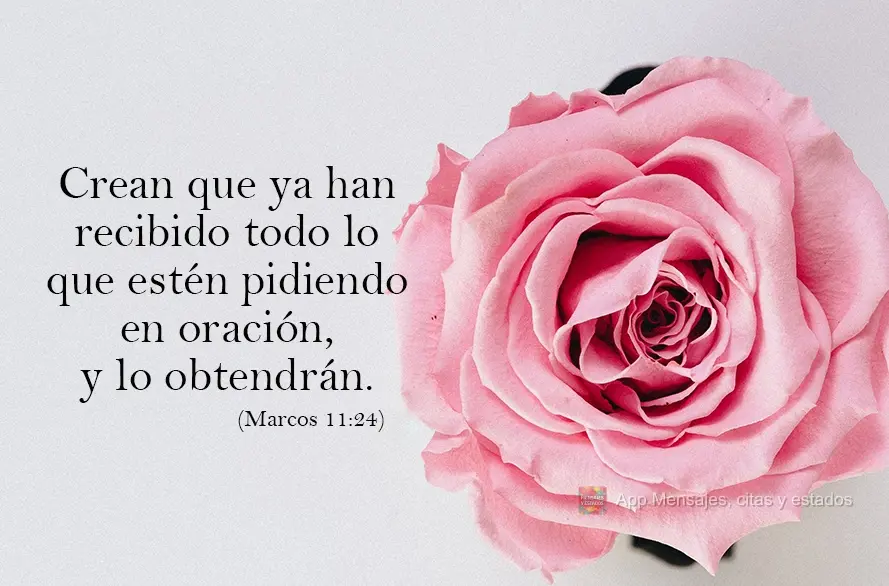 Crean que ya han recibido todo lo que estén pidiendo en oración, y lo obtendrán. Marcos 11:24