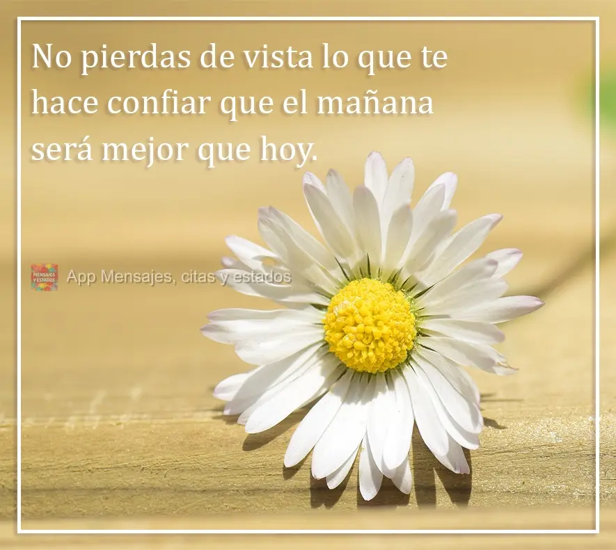 No pierdas de vista lo que te hace confiar que el mañana será mejor que hoy.