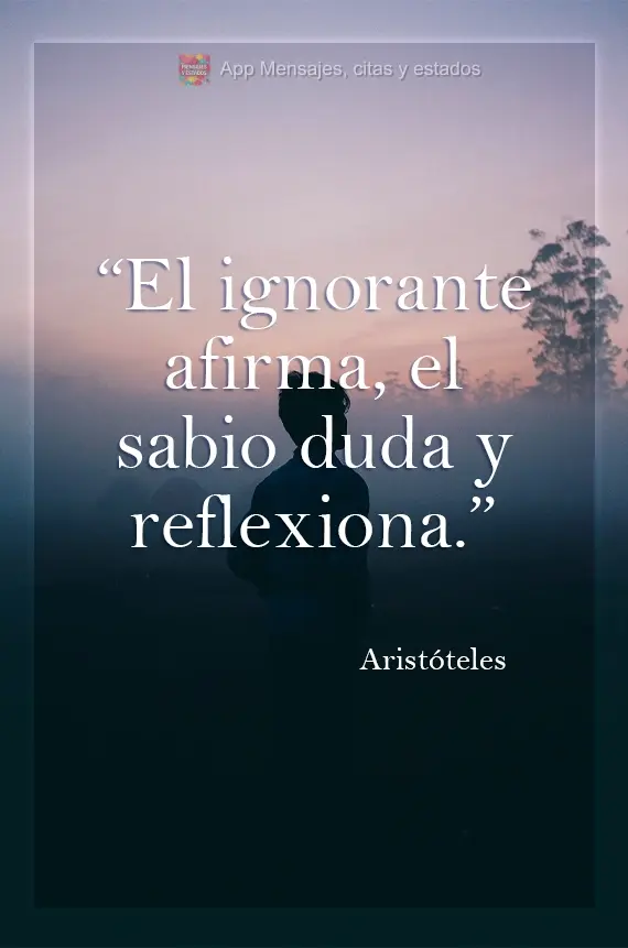 El ignorante afirma, el sabio duda y reflexiona. Aristóteles