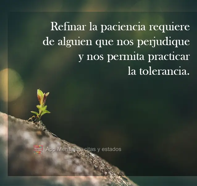Aprimorar a paciência requer alguém que nos faça mal e nos permita praticar a tolerância.