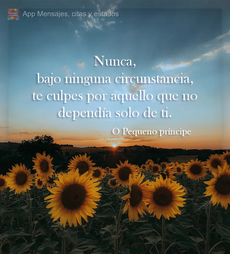 Nunca, em hipótese alguma, se culpe por aquilo que não dependia só de você. Pequeno príncipe