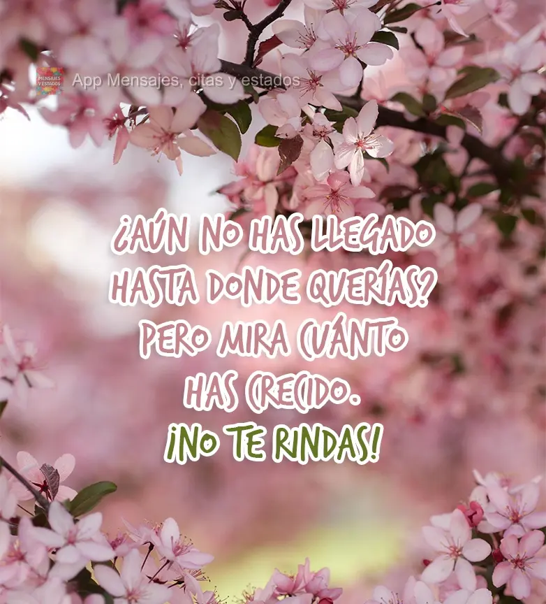 Você não chegou lá ainda? Mas olha o quanto tu cresceu. Não desista!