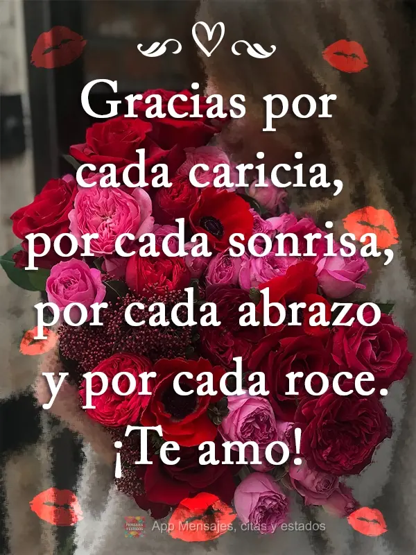 Gracias por cada caricia, por cada sonrisa, por cada abrazo y por cada roce. ¡Te amo!