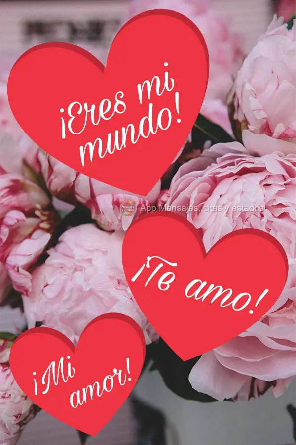 ¡Eres mi mundo! ¡Te amo! ¡Mi amor!