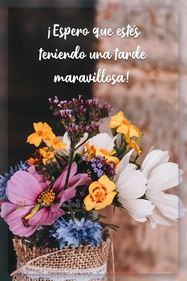 Espero que esteja tendo uma tarde maravilhosa!