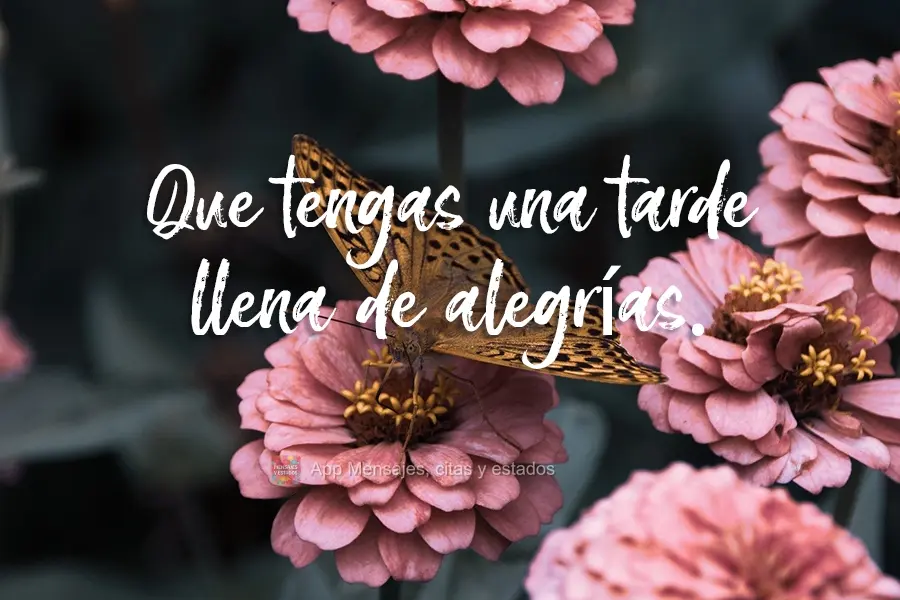 Que tengas una tarde llena de alegrías.