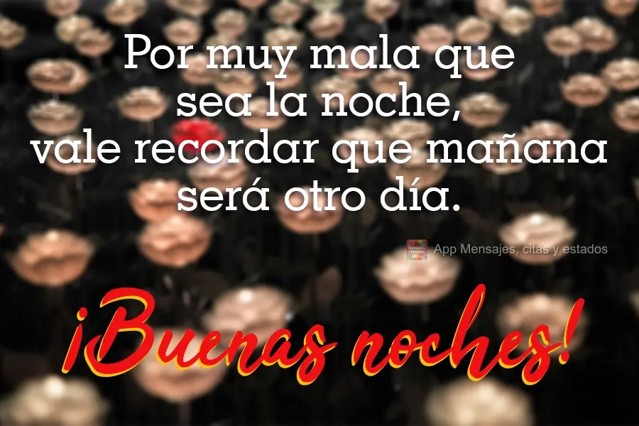 Por pior que seja a noite, amanhã é outro dia. Boa Noite!