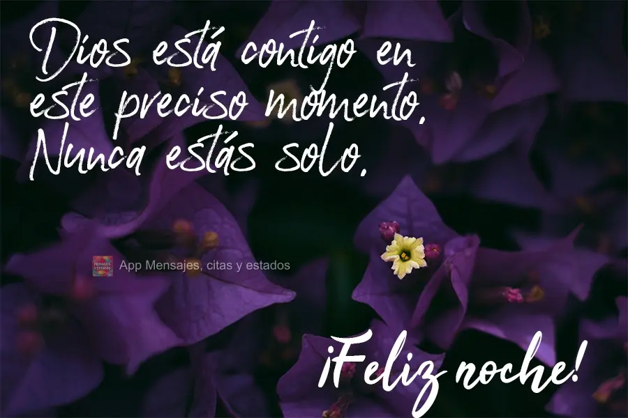 Deus está com você neste exato momento. Você nunca está sozinho.  Boa Noite!