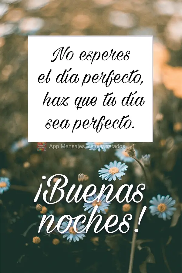 Não espere por um dia perfeito, faça com que o dia fique perfeito. Boa Noite!