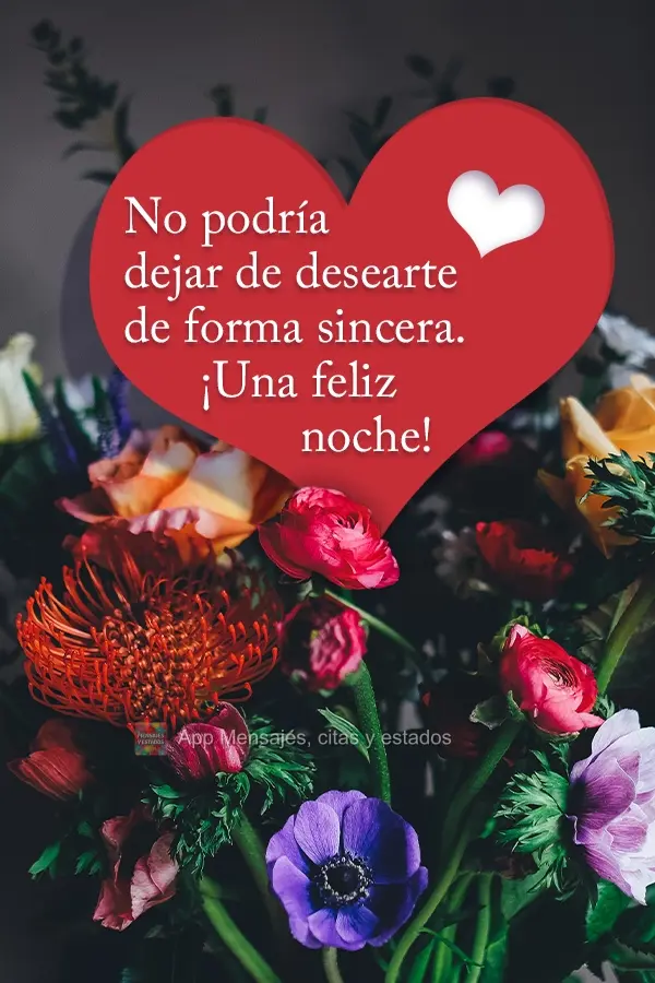 No podría dejar de desearte de forma sincera ¡Una feliz noche!