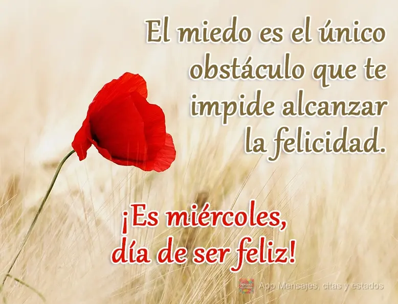 Tenha uma Segunda-feira cheia de novas energias.