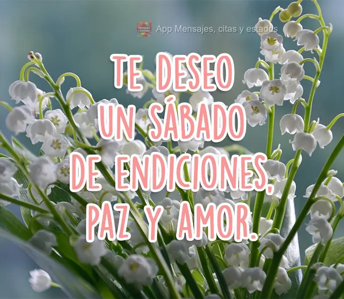 Te deseo un sábado de bendiciones, paz y amor.