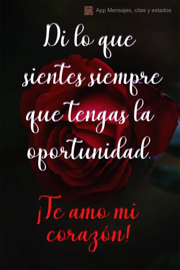 Diga o que você sente sempre que tiver oportunidade. Anjo meu! Amo você!