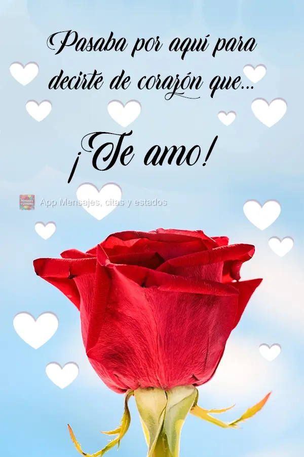 Pasaba por aquí para decirte de corazón que... ¡Te amo!