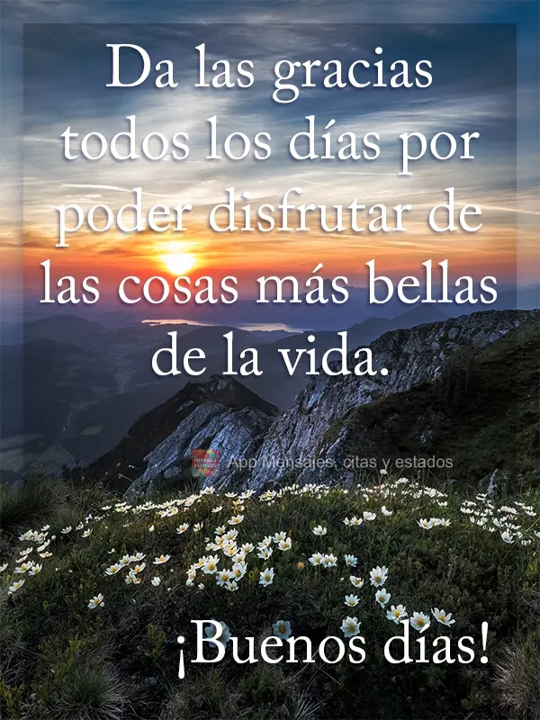 Agradeça todos os dias por poder desfrutar das coisas mais belas da vida.  Bom Dia!