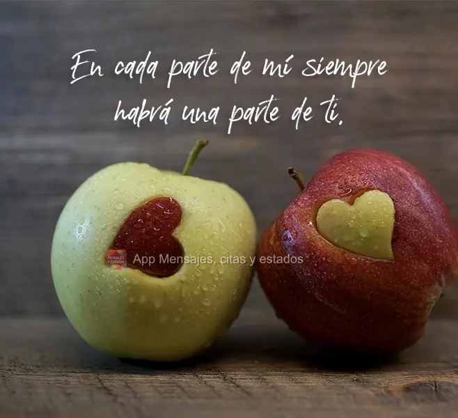 Porque em cada pedaço de mim, sempre haverá um pedaço de você.