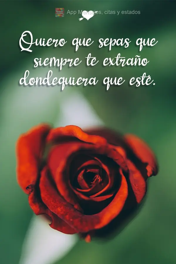 Quiero que sepas que siempre te extraño dondequiera que esté.