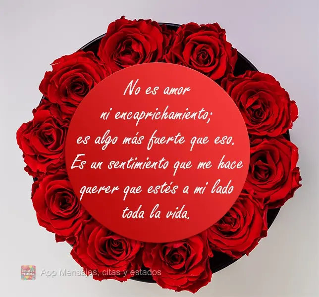 No es amor ni encaprichamiento; es algo más fuerte que eso. Es un sentimiento que me hace querer que estés a mi lado toda la vida.